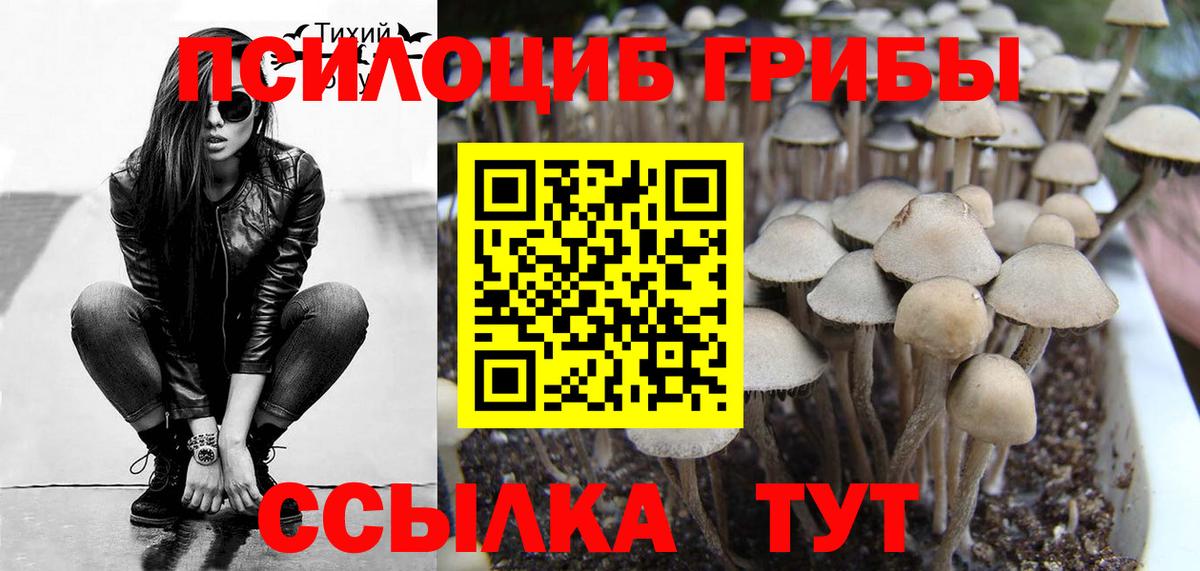 Галлюциногенные грибы GOLDEN TEACHER  Вход с VPN  купить  цена  Дзержинск 